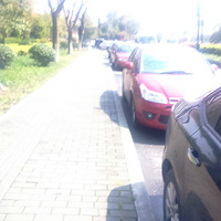 �������ʦ�����������