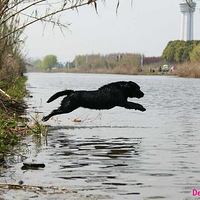 ��ˮ�����ұ��ݣ�