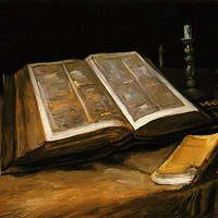  ȼ�յ����տ�����̫��֮����ɭ�ء���ߣ�����