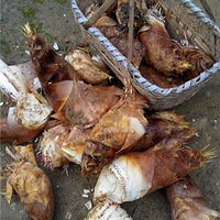 �������������ɸ����ӹ���