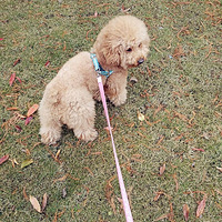 �����߶�ͷβ9��~߯ѹ�֣�ɹɹС�����Ǿ��ջ����±�ɣ������