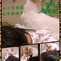 û�����������ҹ