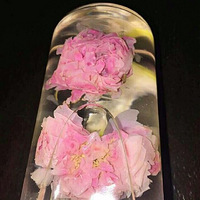 ��ҿ�����Ư����õ�廨��ѽ