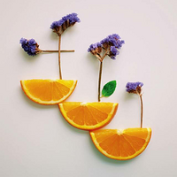 ʲôʱ���������������к��أ�