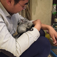 һ����������������è������Ի���������