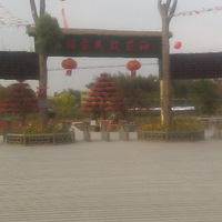 ����Ů����ѧ����ż��������С��һ��