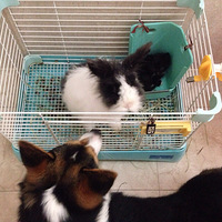 We are ��ľ�ۣ���ů��������������