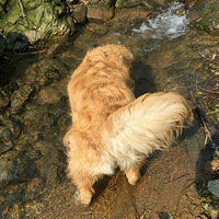 ������֮�ǡ�+���үȥ����ɽ�ȼ�