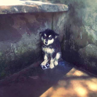 ������֮�ǡ��Ҽҵİ���˹���Ա��������˹���߸�˧�ĳɳ�����