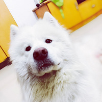 ������֮�ǡ����Ѷ�˵�������ã�����һ�����������ˡ�