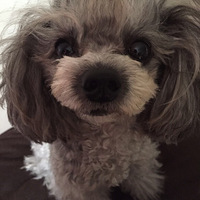  [ ����֮�� ] һ���޻��ǡ�