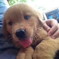 ������֮�ǡ���������������


�Ҽҵ���