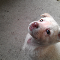 ������֮�ǡ�+������2���˵��Ҹ�����