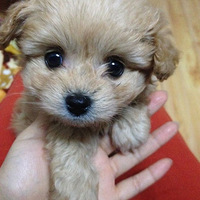  [ ����֮�� ]   �����������̫��@������̫������