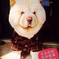 ������֮�ǡ������ı���ɽ