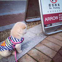 ������֮�ǡ������ɳ���
