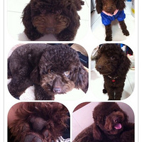 ������֮�ǡ����ж�Ů