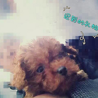 ������֮�ǡ� ������biubiubiu~ ��ֹ�������ֻ����