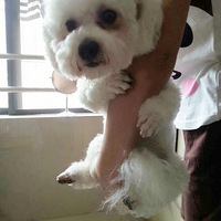 ������֮�ǡ�+_____ū��Ը��Ϊ����һ��_____����Լ���_____