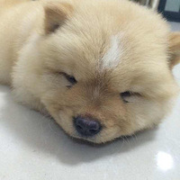 ������֮�ǡ�+�����ȳ���С��