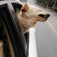 ������֮�ǡ�+���ж�����һֱ����