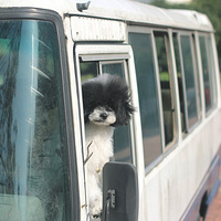 ������֮�ǡ�Ҳ����һ�죬�㲻���ˣ���ϣ��