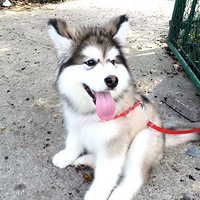 ������֮�ǡ��ҼҵĶ�����ͷ��̫���ˣ�