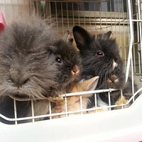 ������֮�ǡ��������������������ȵ�������