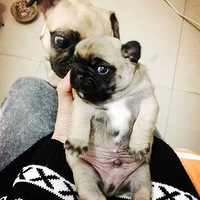 ������֮�ǡ�+ �����Ĳ��ϰ�