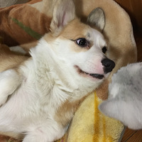 �����Ͱ������Ҹ�����