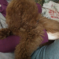 ������֮�ǡ�+�Ҽҹ���������