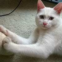 ����֮��---������ô�������и����ҵ���