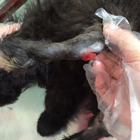 ���˹���lucky�����ǣ���������