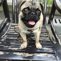 ������֮�ǡ��Ҽ���Ů�����ӣ�������--ʮ��С�