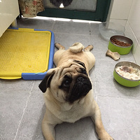 ������֮�ǡ�ɹ���ҼҳԻ��͸磬����