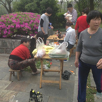 �����տ���ȫ������