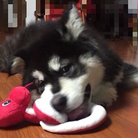 ������֮�ǡ��������԰ף��� ...