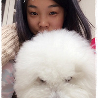 ������֮�ǡ����ܱ���