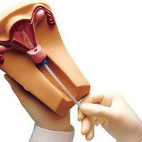 ������Ҫĸ�ϻ� ���׼�ʱ�ݣ�