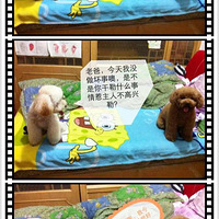 ������֮�ǡ���؛����