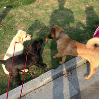 �赽û���ѣ�ֻ��������