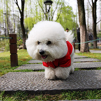 ������֮�ǡ������Ǹ���������