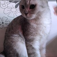 ������֮�ǡ�+����VS�̲�