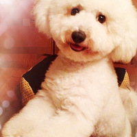 ������֮�ǡ��߸�˧���ɱ�ȫ���Ӽ�����һ������Ȯ���ܣ�����