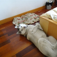 ������֮�ǡ�+����Ϊ���Ķ�����