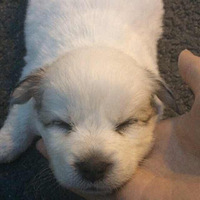 ������֮�ǡ�����С��ħ
