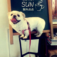 ������֮�ǡ����б���С����
��Һã��ҽ�