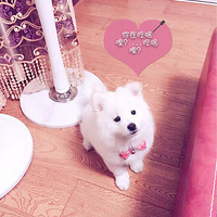 ������֮�ǡ�ҹ����ĦĦ
�Ա�Ů

�Ҽ�