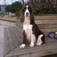 ������֮�ǡ�+ʷ����coco���Ļ��㳡һֻ�󻨹������ⳤ�Ź�����