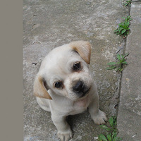 ������֮�ǡ�+���ڼ��еĵ�λ����������С�����������ģ�